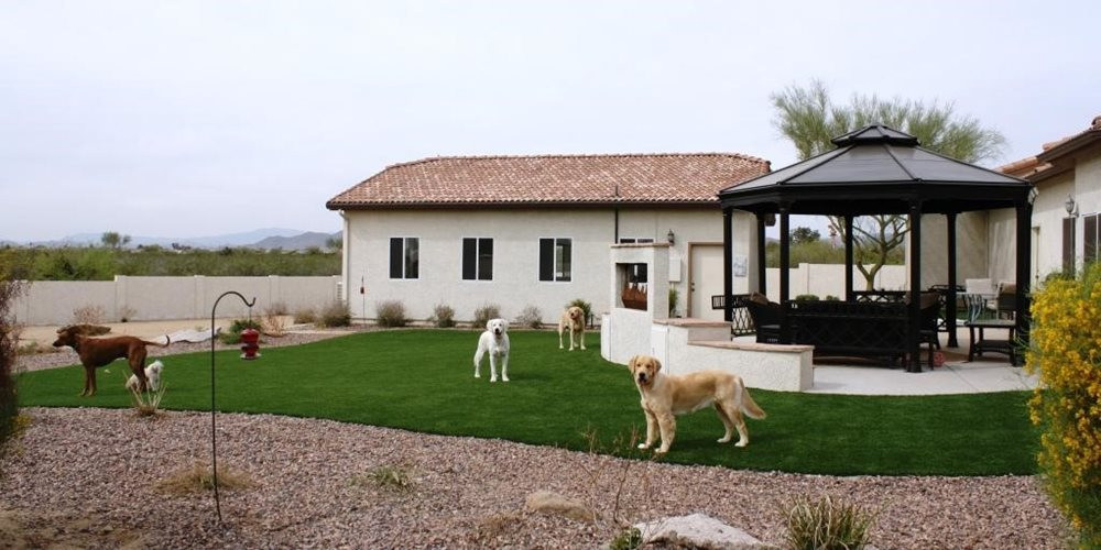 Austin artificial turf for dogs